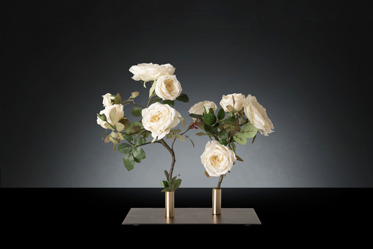1700218591-1142897.96 ENGLISH ROSE X 2_2LOW